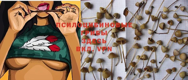 ECSTASY Магадан